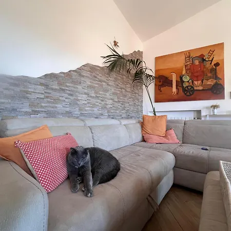 Matu House - Centric In Olbia- Pansiyon *